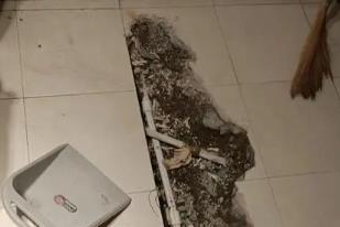 泰顺卫生间漏水检测电话